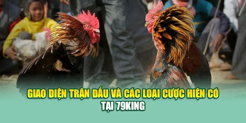 Đá Gà Thomo – Sới Gà Huyền Thoại Được Cập Nhật Tại 79King 2 Giao diện trận đấu và các loại cược hiện có tại 79King
